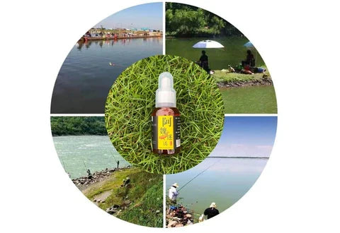 Aromatizador para Atração de Peixes